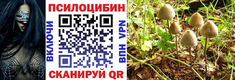 Псилоцибиновые грибы Psilocybine cubensis  kraken tor  Вязники 
