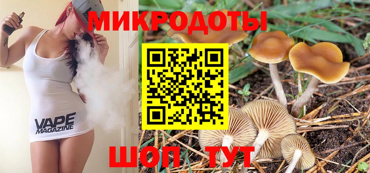 цена   Псилоцибиновые грибы мицелий  Вязники  Вход с VPN  Галлюциногенные грибы прущие грибы 