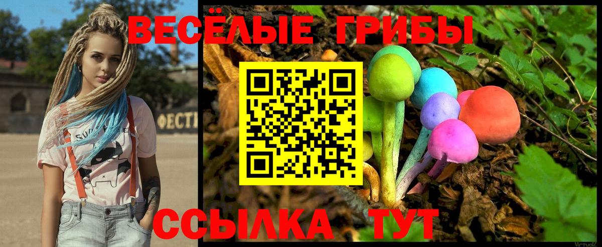 Галлюциногенные грибы Cubensis Вязники